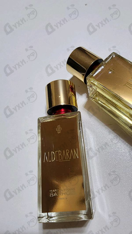 Купить Aldebaran от Marc-Antoine Barrois