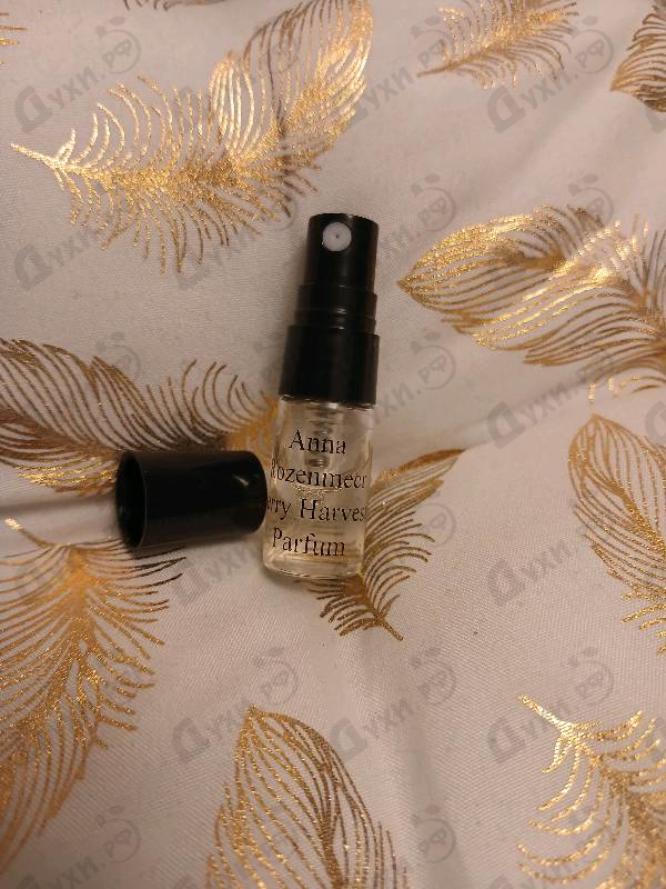 Купить Berry Harvest от Anna Rozenmeer