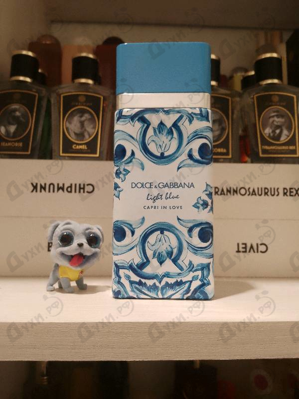 Парфюмерия Dolce & Gabbana Light Blue Capri In Love Eau De Parfum
