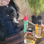 Духи Le Parfum от Lalique