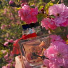 Отзывы Lalique Le Parfum