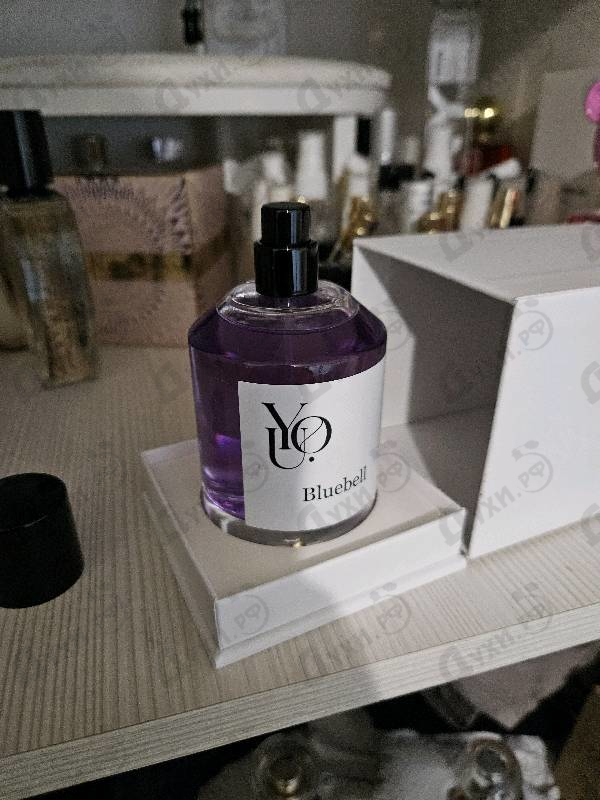 Купить Bluebell от YOU