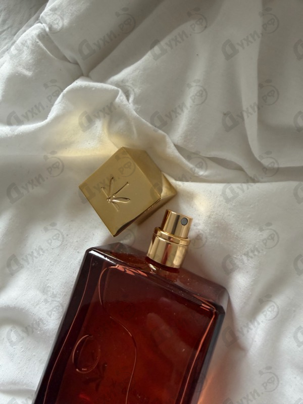 Отзывы Ella K Amber K