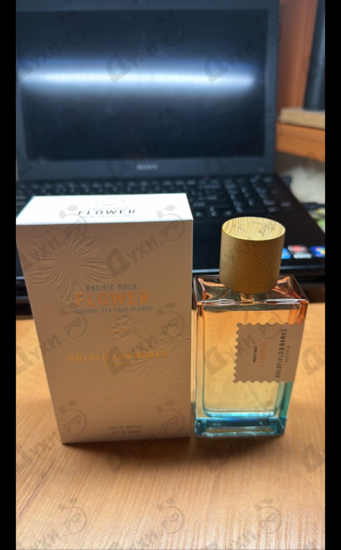 Купить Pacific Rock Flower от Goldfield & Banks Australia