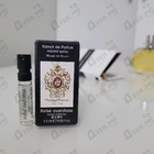 Духи Kirke Overdose от Tiziana Terenzi