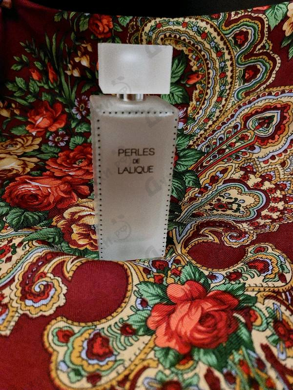Купить Lalique Perles
