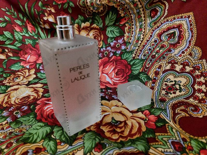 Купить Perles от Lalique