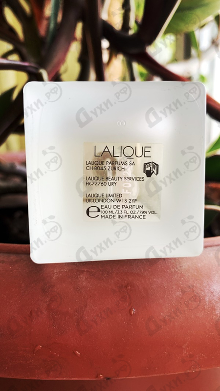 Купить Perles от Lalique