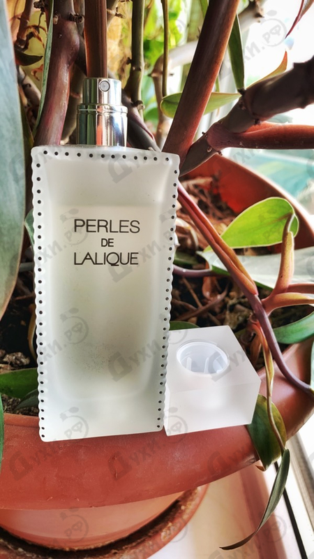 Отзывы Lalique Perles