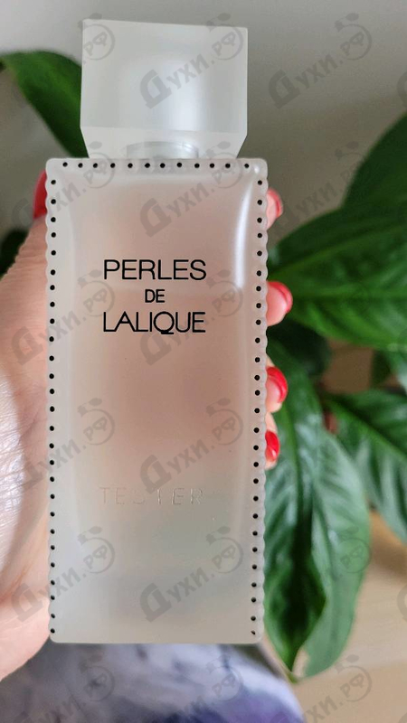 Купить Perles от Lalique