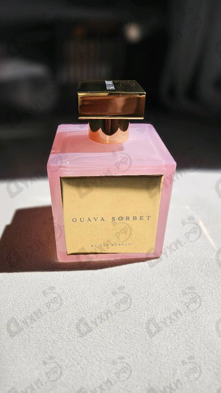 Купить House Of Brandt Guava Sorbet