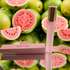 Парфюмерия House Of Brandt Guava Sorbet