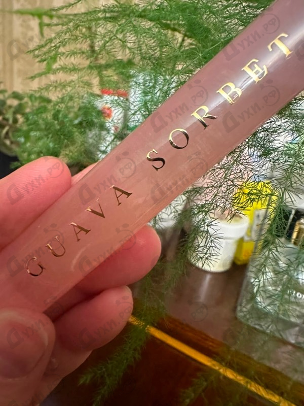 Купить Guava Sorbet от House Of Brandt
