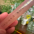 Купить Guava Sorbet от House Of Brandt