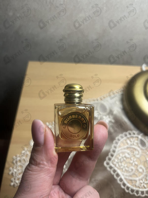 Отзывы Burberry Gold