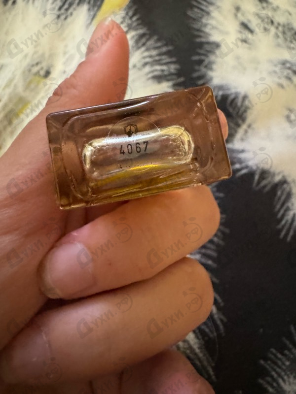 Парфюмерия Gold от Burberry