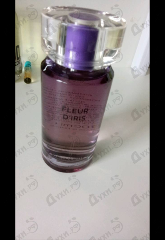 Купить Lagerfeld Fleur D'Iris