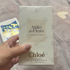 Отзывы Chloe Cedrus Intense