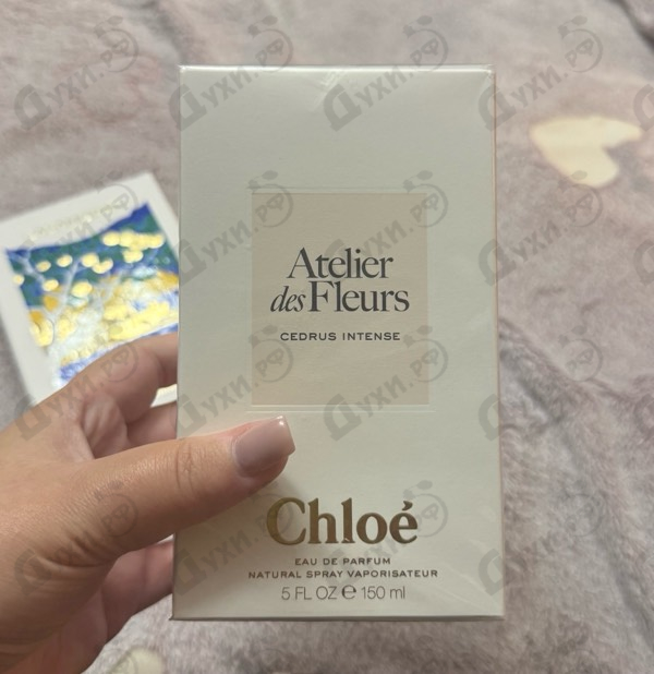 Духи Cedrus Intense от Chloe