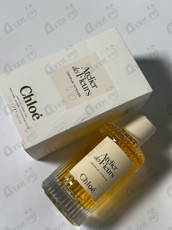 Отзывы Chloe Cedrus Intense