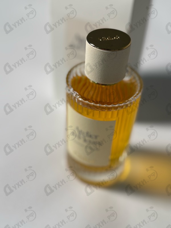 Духи Cedrus Intense от Chloe