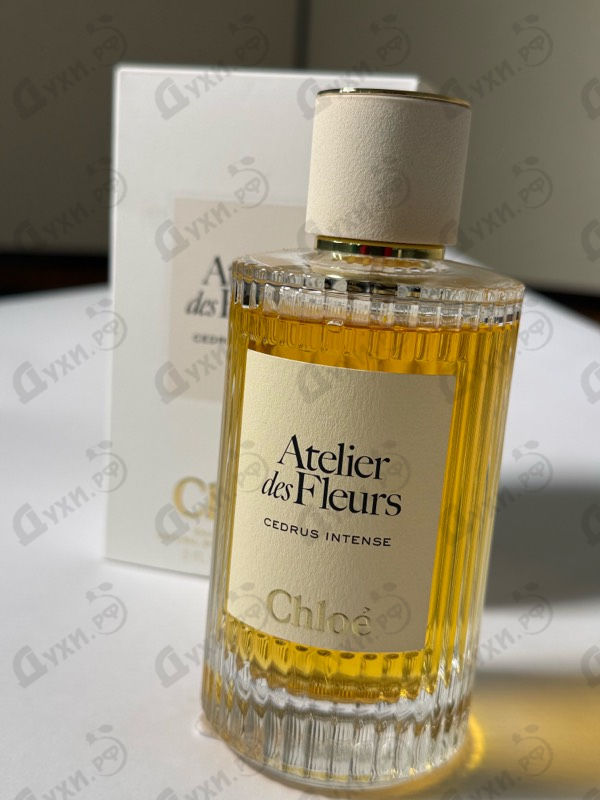 Парфюмерия Cedrus Intense от Chloe