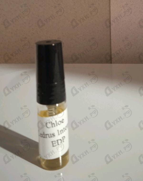 Купить Cedrus Intense от Chloe