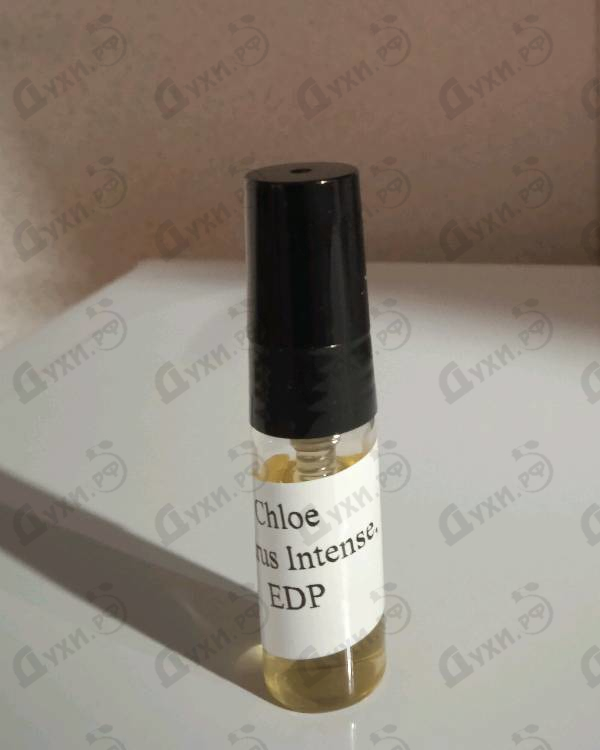 Парфюмерия Cedrus Intense от Chloe