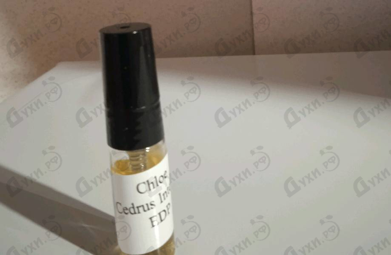 Купить Cedrus Intense от Chloe
