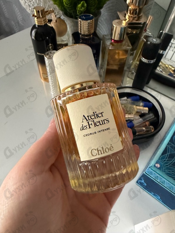 Купить Chloe Cedrus Intense