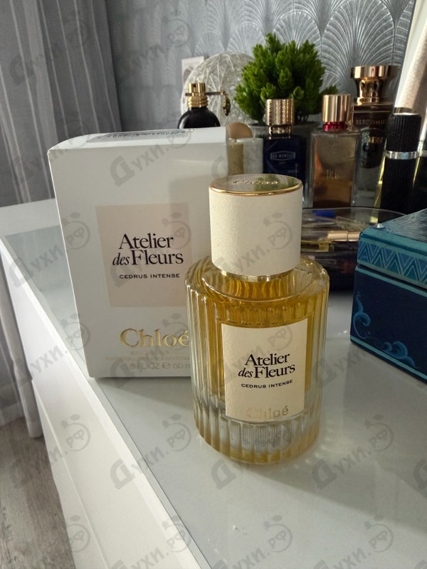 Парфюмерия Chloe Cedrus Intense