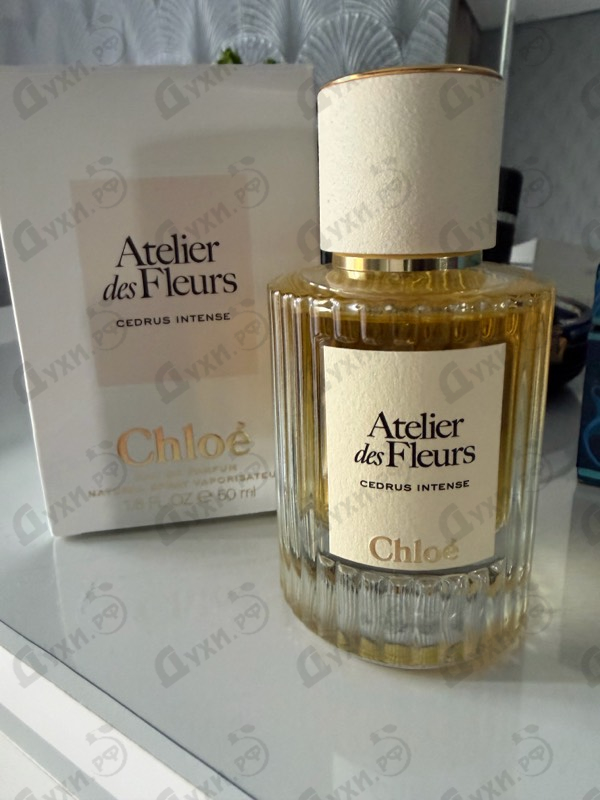 Парфюмерия Chloe Cedrus Intense