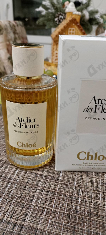 Парфюмерия Cedrus Intense от Chloe