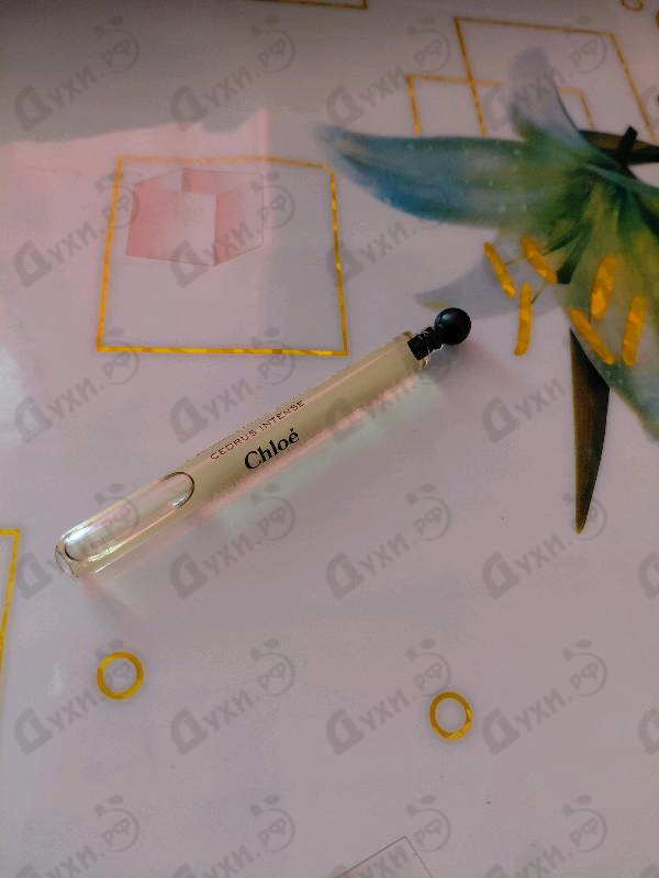 Купить Cedrus Intense от Chloe