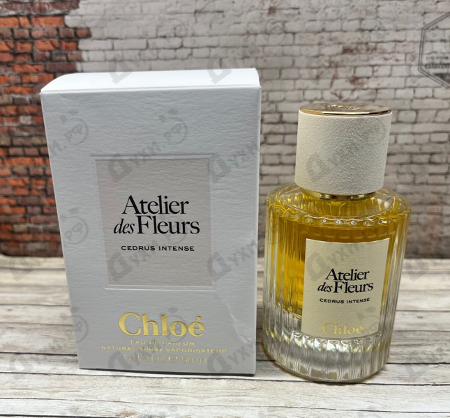 Парфюмерия Cedrus Intense от Chloe