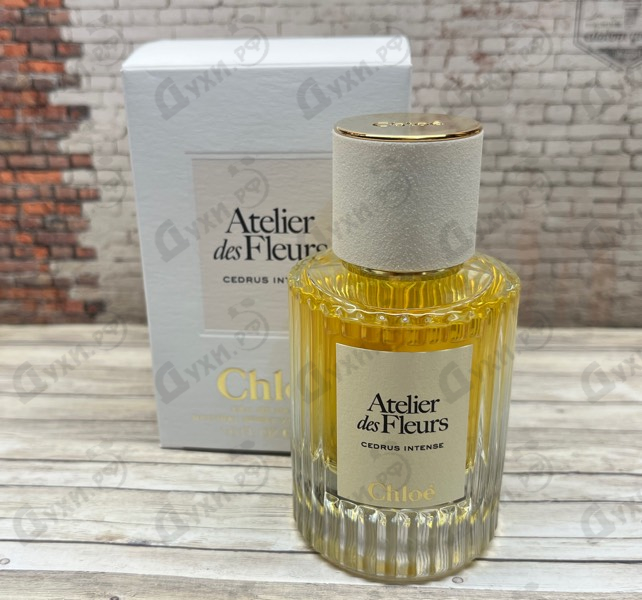 Купить Cedrus Intense от Chloe