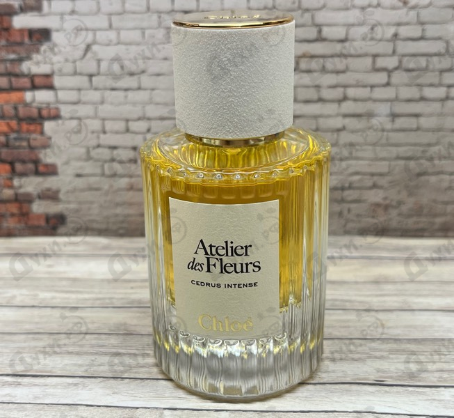 Купить Cedrus Intense от Chloe