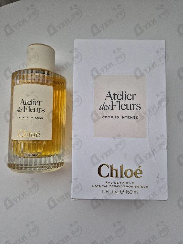 Купить Cedrus Intense от Chloe