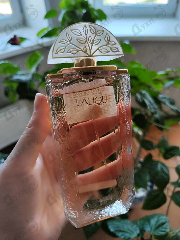 Отзыв Lalique Women Парфюмерия Women от Lalique