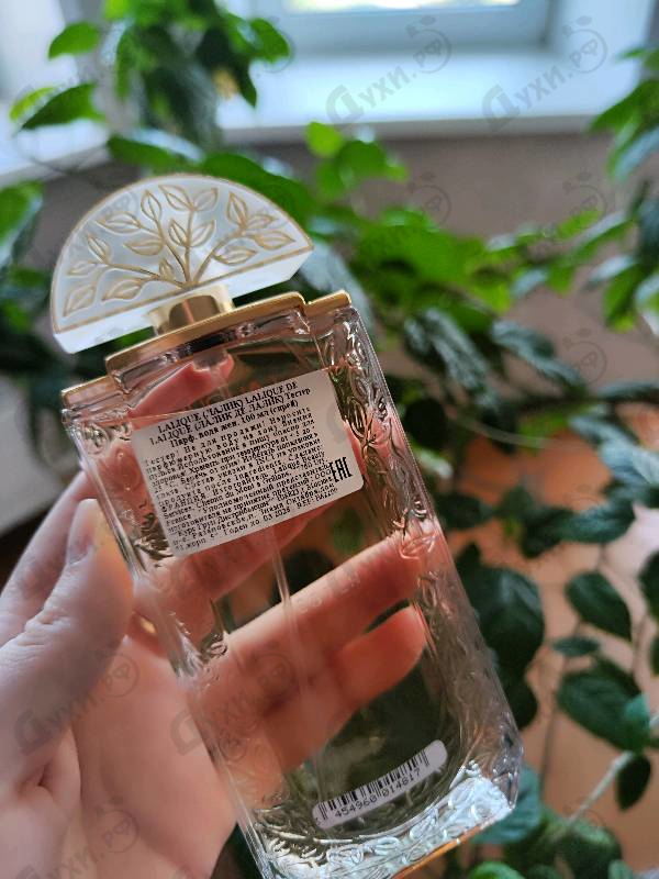 Духи Lalique Women Духи Women от Lalique