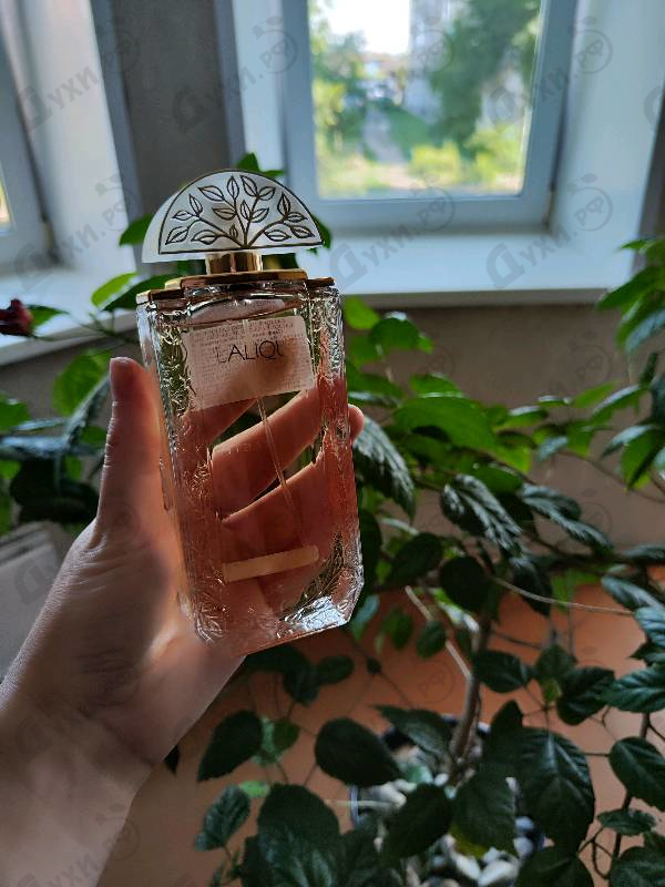 Духи Lalique Women Купить Women от Lalique