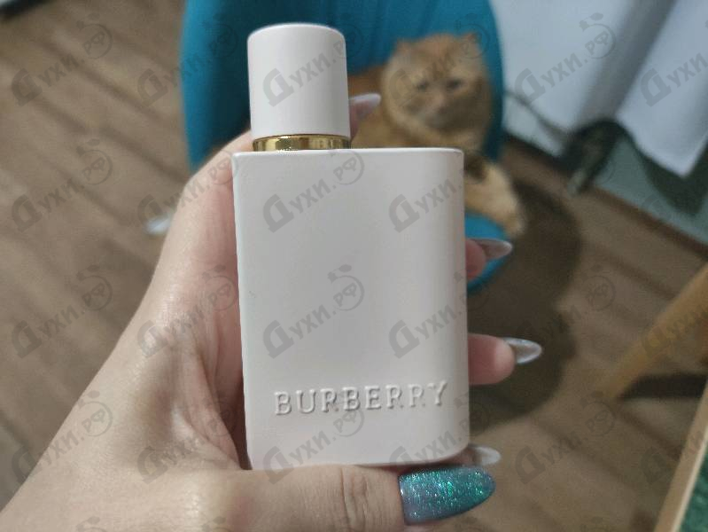 Купить Burberry Her Intense 2024