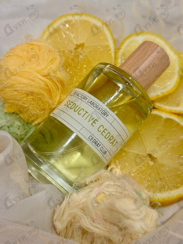 Купить Seductive Cedrat от Les Liquides Imaginaires