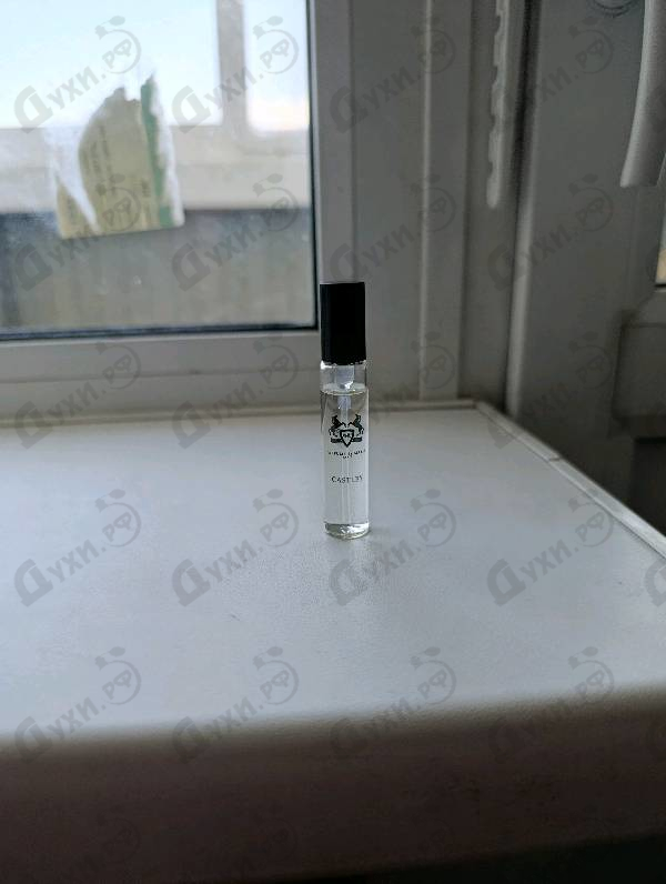 Купить Castley от Parfums de Marly