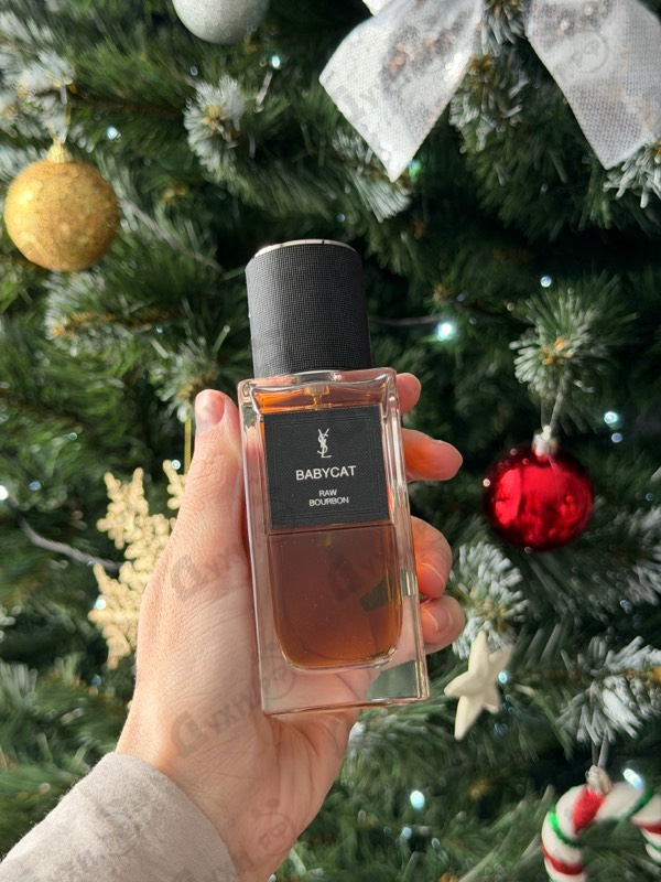 Купить Babycat Raw Bourbon от Yves Saint Laurent