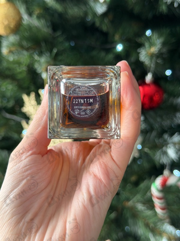 Купить Babycat Raw Bourbon от Yves Saint Laurent