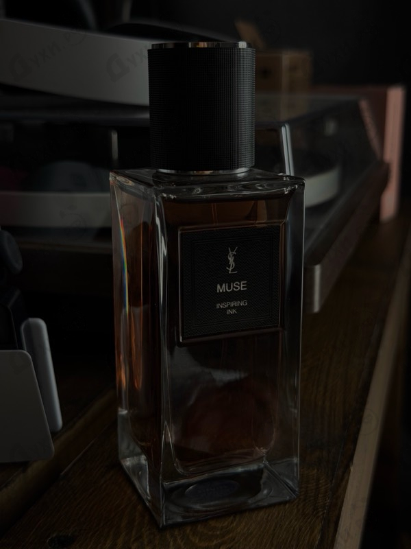 Купить Muse от Yves Saint Laurent