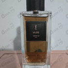 Отзыв Yves Saint Laurent Muse