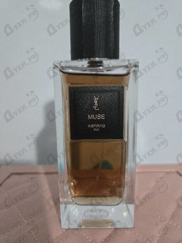 Отзыв Yves Saint Laurent Muse