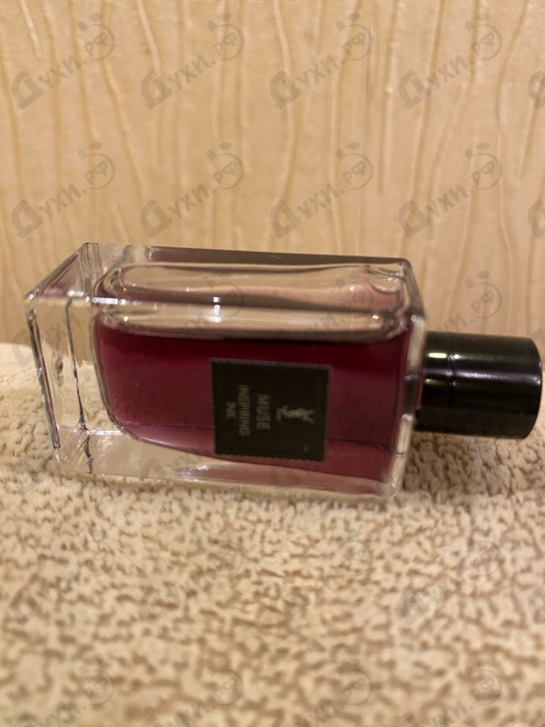 Купить Muse от Yves Saint Laurent
